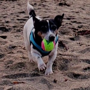 Meet your Posher, Kenneth